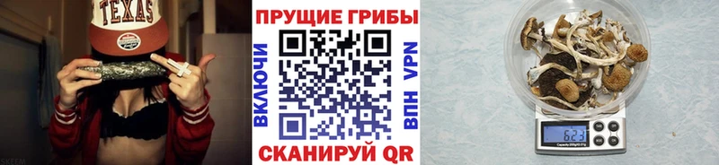 Галлюциногенные грибы MAGIC MUSHROOMS  Чита 